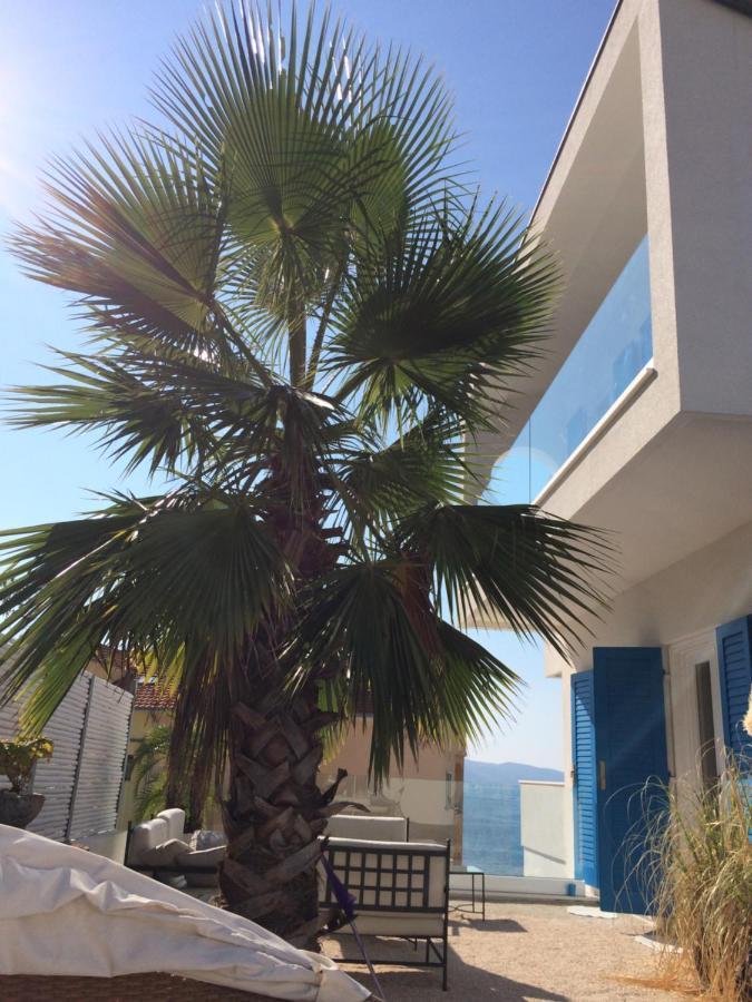Seaside Villa With Private Pool Home By The Sea - Villa טרוגיר מראה חיצוני תמונה